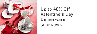 Up to 40% Off Valentine's Day Dinnerware >